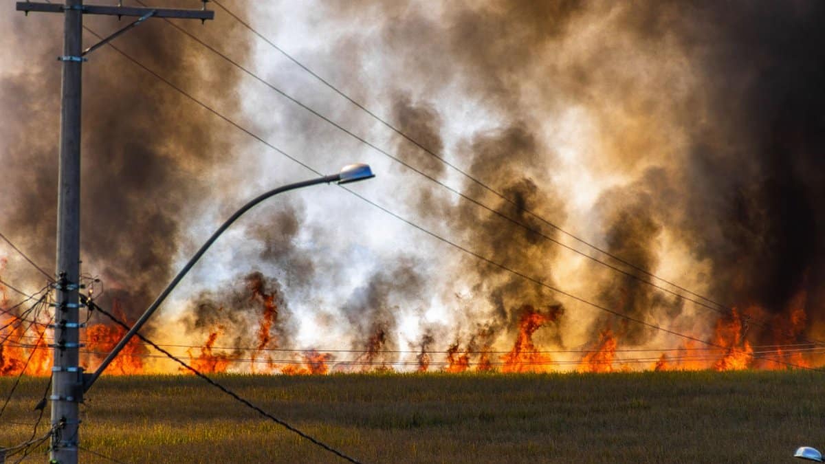 Dramatic field fire with rising smoke and visible power lines, showcasing environmental dangers.