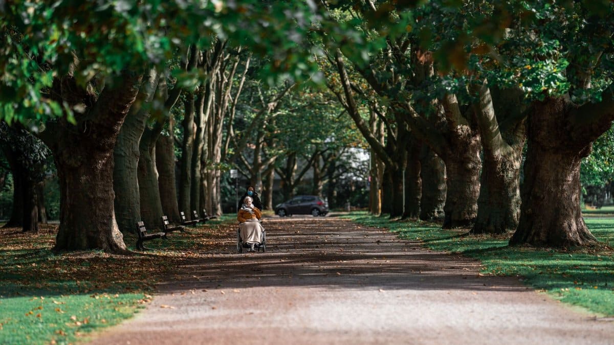 A tranquil moment in a lush park with a caregiver assisting an elderly woman in a wheelchair.