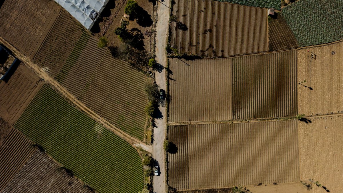 Drone shot capturing the vibrant patchwork farmlands in Tecpán, Guatemala.