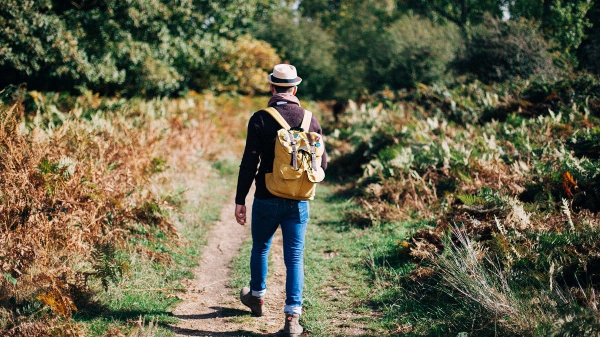 A man walks along a forest trail with a backpack under the autumn sun.