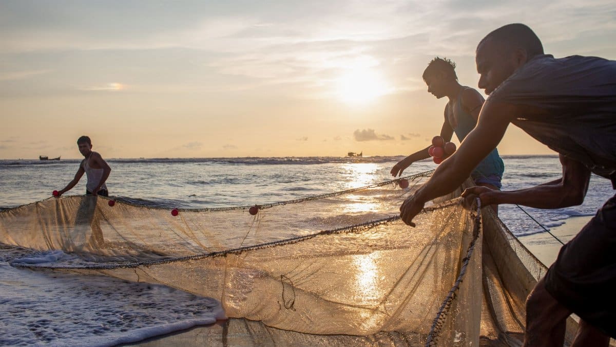 Men working together pulling a fishing net from the sea at sunset, showcasing teamwork and coastal life.