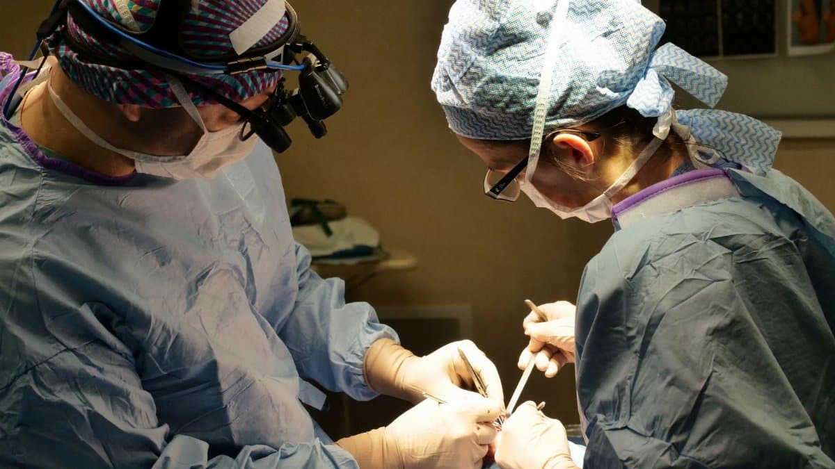 Experienced surgeons conduct a delicate operation in a sterile hospital environment with precision and focus.