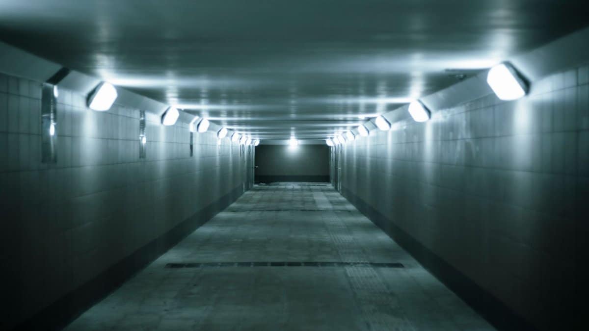 An eerie, dimly lit underground tunnel with fluorescent lights lining the walls, creating a moody atmosphere.