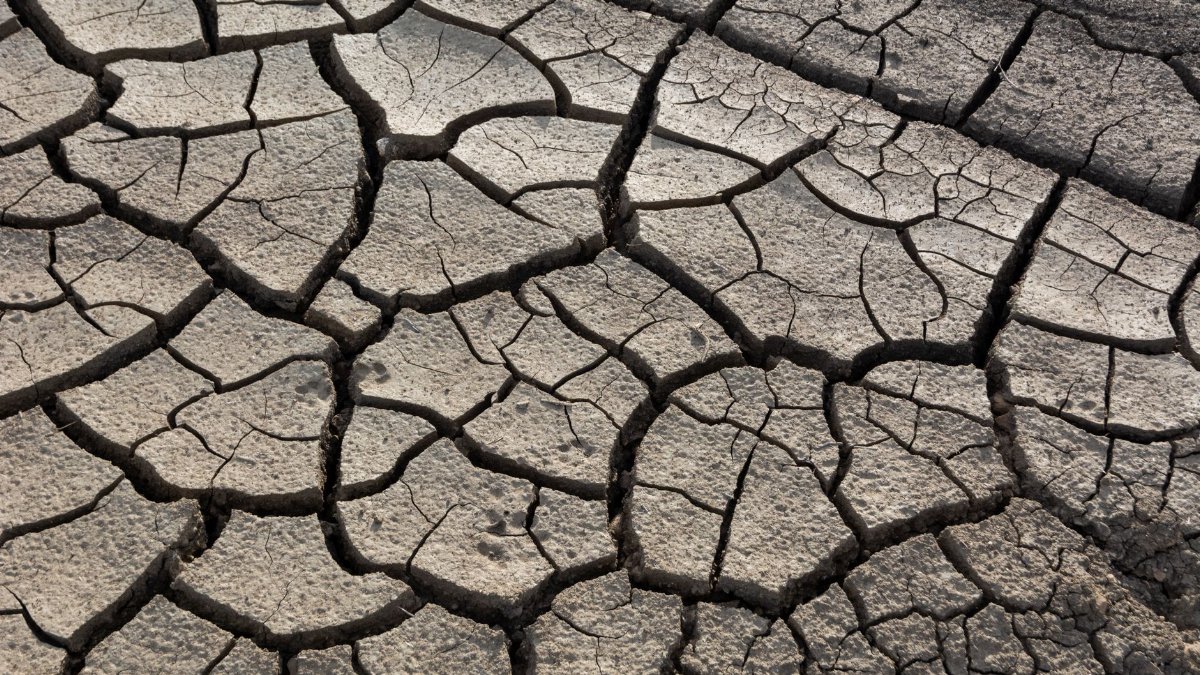 Close-up of cracked dry earth highlighting drought impact and climate change.
