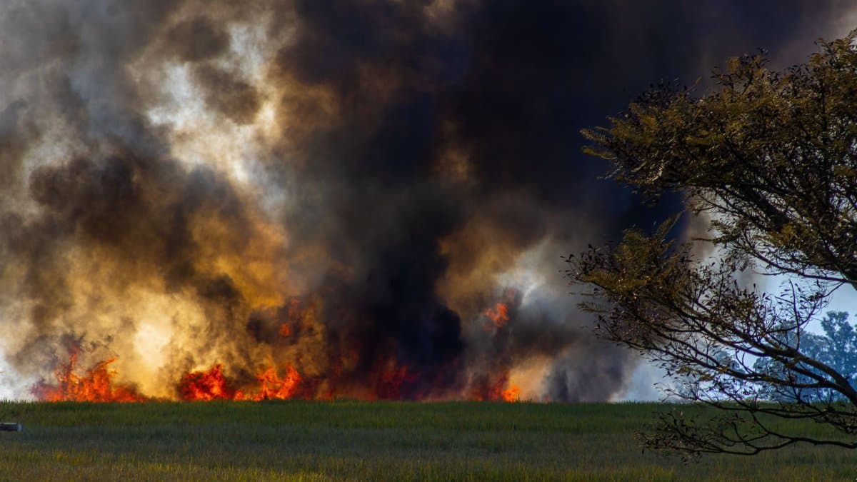A dramatic scene of a grassland wildfire with thick smoke and bright flames engulfing the field.