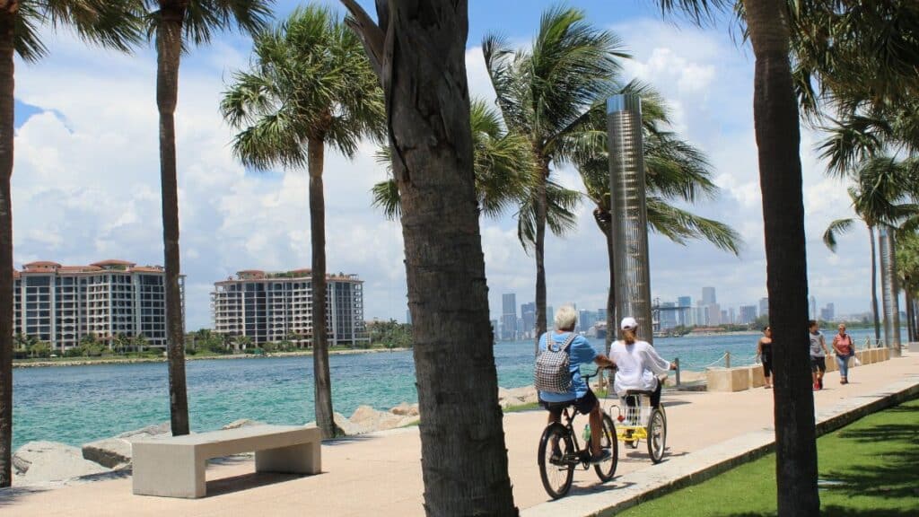 People biking and walking along Miami Beach promenade lined with palm trees on a sunny day.