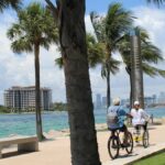 People biking and walking along Miami Beach promenade lined with palm trees on a sunny day.