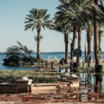 Flooded coastal area with palm trees and an occluded path post-storm damage in Florida.