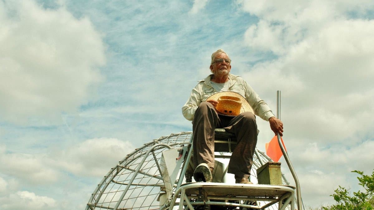 Elderly man navigating an airboat through the Florida Everglades on a sunny day.