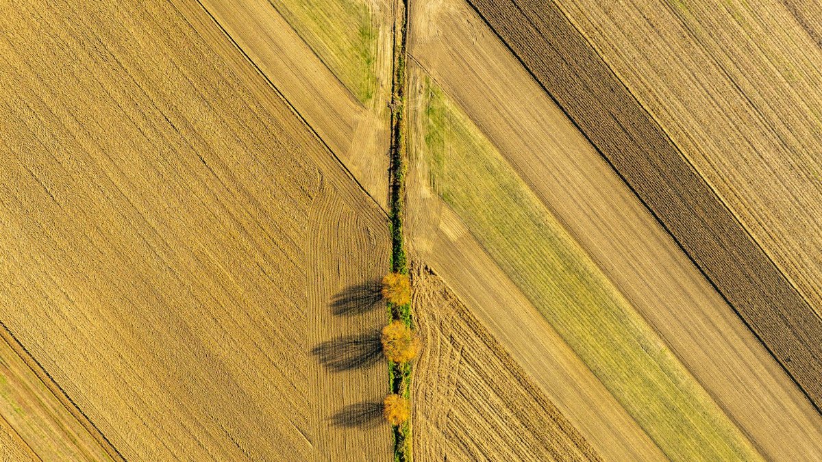 Aerial shot of geometric farmlands in Garešnica, Croatia, showcasing the beauty of agriculture from above.