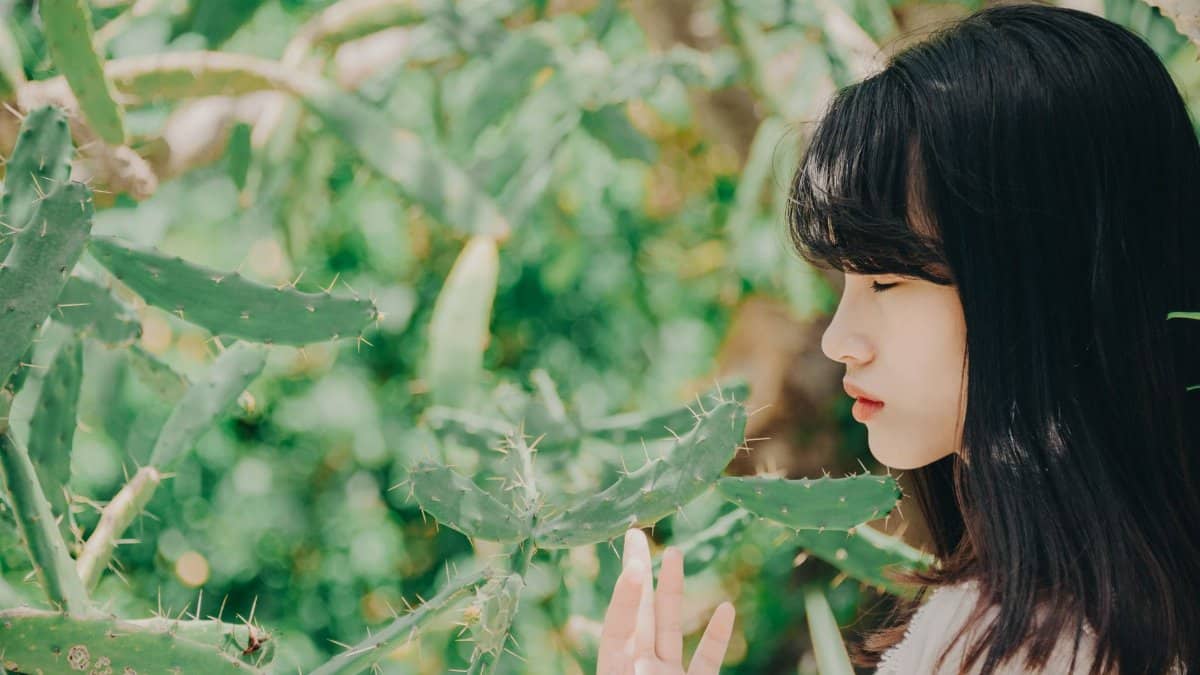 A peaceful scene of a woman gently touching a cactus, enveloped in nature's greenery.