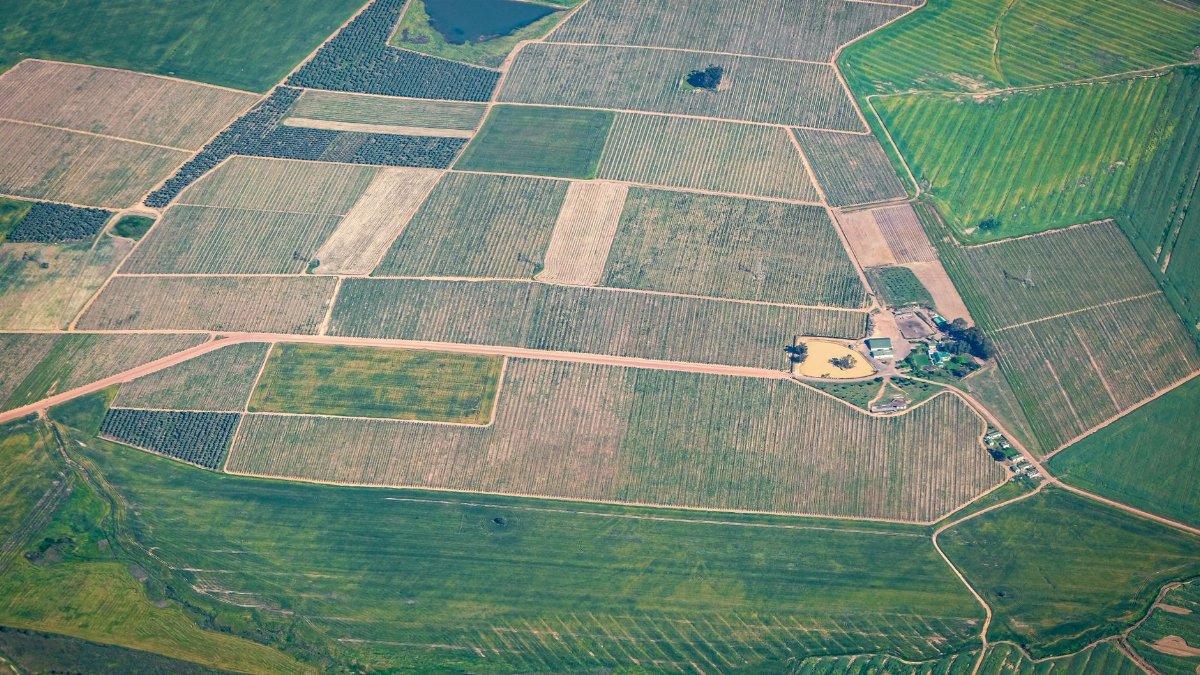 High-angle shot of vast agricultural lands with varying crop patterns in the countryside.