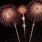 Dazzling fireworks burst in the night sky, showcasing a vibrant celebration with colorful explosions.