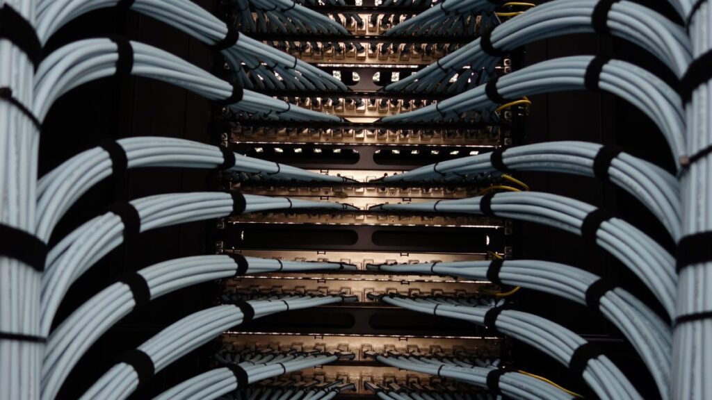 Organized network server cables for efficient data management.