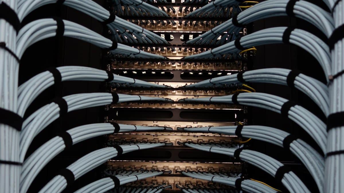 Organized network server cables for efficient data management.