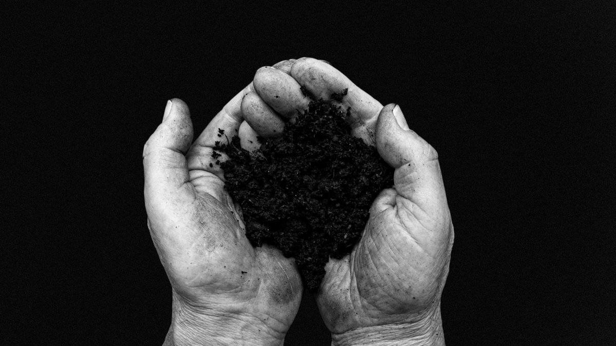 A black and white image depicting hands carefully holding fresh soil, symbolizing growth and earth care.