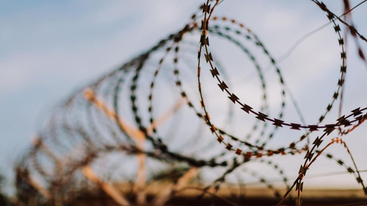 Detailed close-up of barbed wire with a blurred background, emphasizing sharpness.