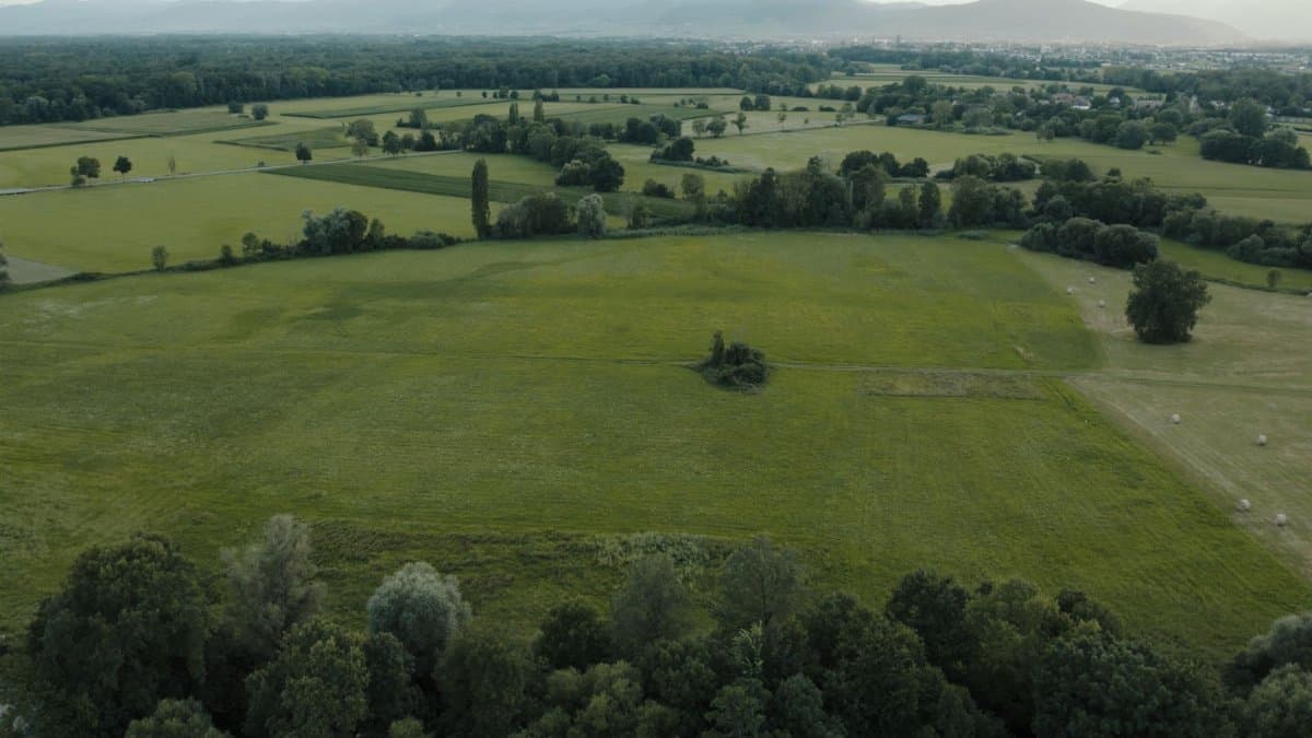 Expansive aerial view of green fields and forests in Muttersholtz, Grand Est, France.