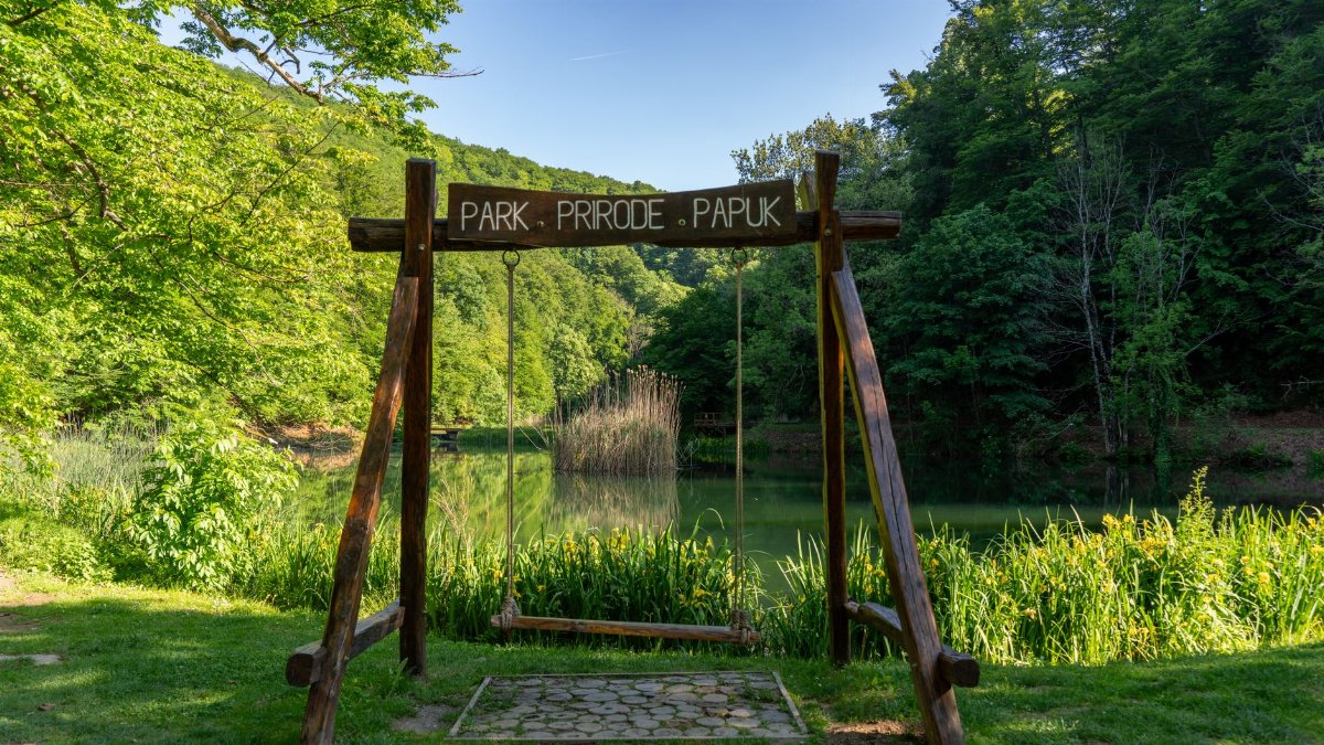 Wooden swing overlooking lush greenery and a serene lake in Papuk Nature Park.