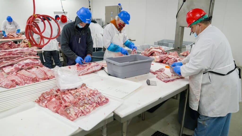 Butchers expertly processing meat in a USDA-inspected facility. Hygiene and precision are prioritized.
