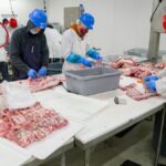Butchers expertly processing meat in a USDA-inspected facility. Hygiene and precision are prioritized.