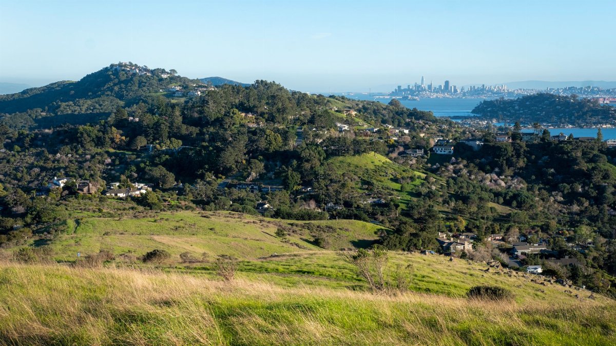 Picturesque view of Bay Area hills and San Francisco cityscape in summer light.