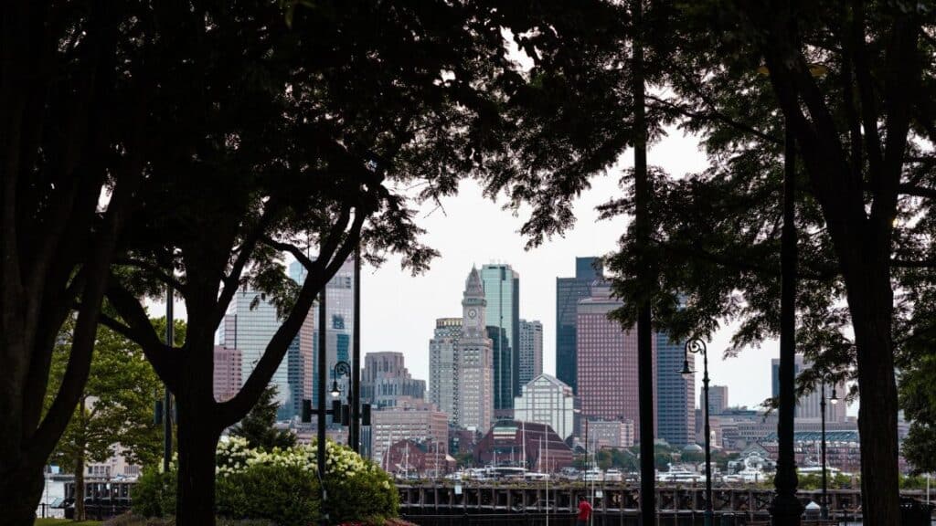 View of Boston's skyline framed by lush trees from a city park.