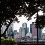 View of Boston's skyline framed by lush trees from a city park.