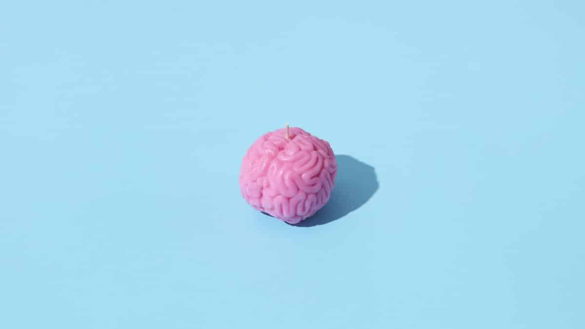 Pink brain-shaped candle on a light blue background, casting a shadow.