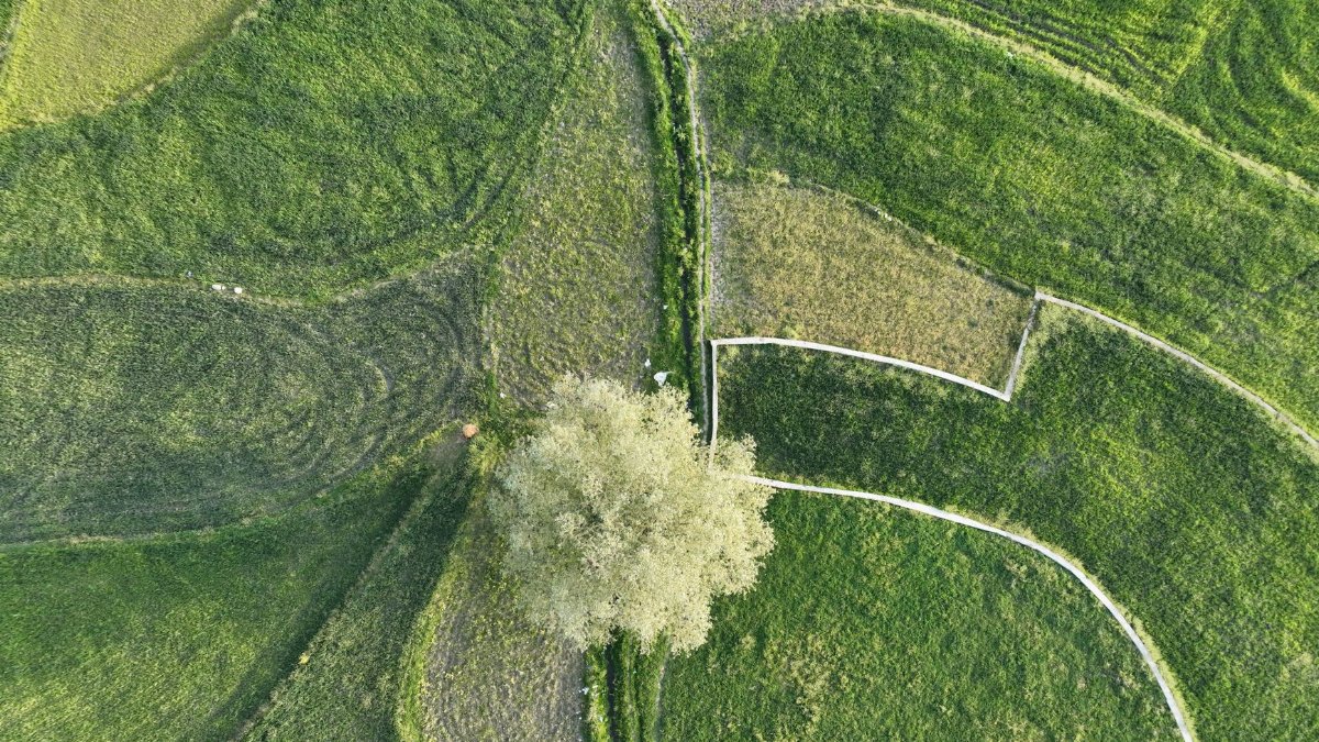 Stunning aerial shot capturing the vibrant agricultural fields and natural landscape of the Kashmir region.