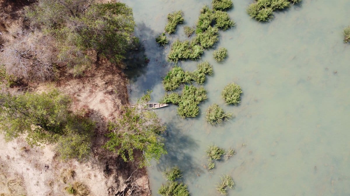 Aerial shot of a solitary boat amid lush greenery on a lake in Northern Ghana.