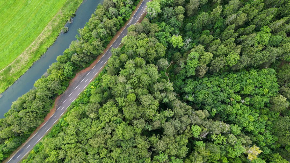Top view of a green forest next to a winding river and road, showcasing natural beauty.