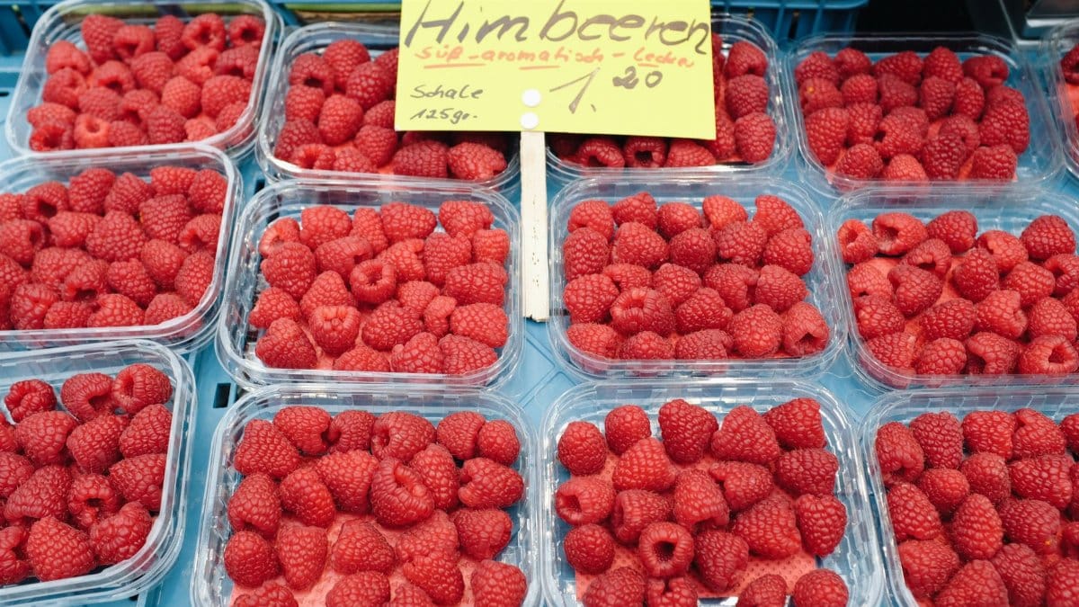 From above of arranged plastic containers filled with with fresh ripe raspberries placed on stall in street market