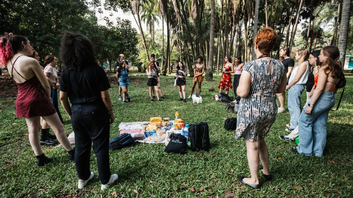 A diverse group enjoying a summer picnic in a lush tropical park.