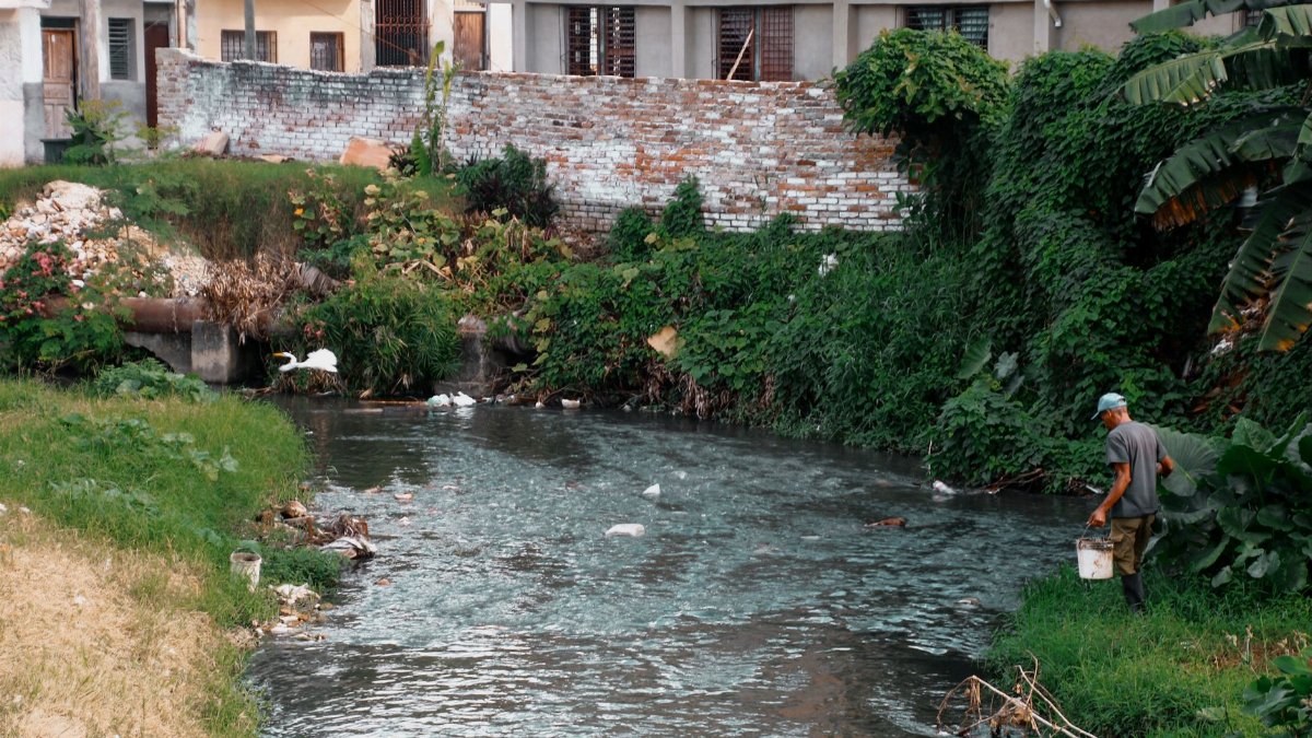 A man cleans a stream in an urban area surrounded by lush greenery and buildings.