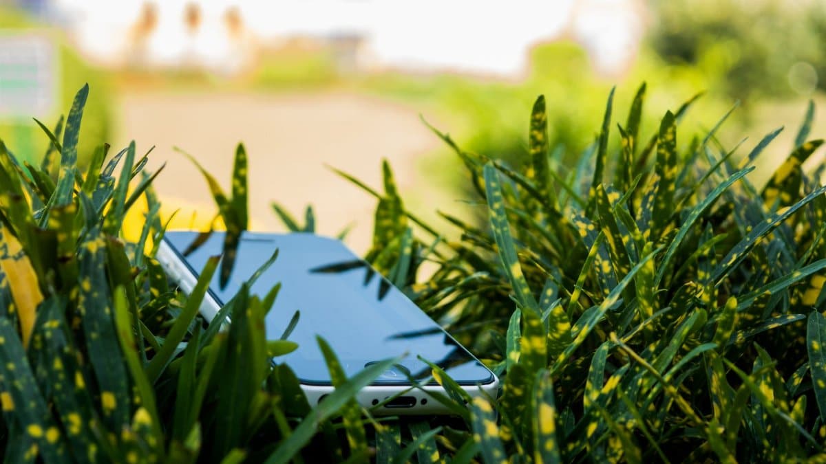 Close-up of a smartphone placed within vibrant green foliage, capturing a blend of technology and nature.
