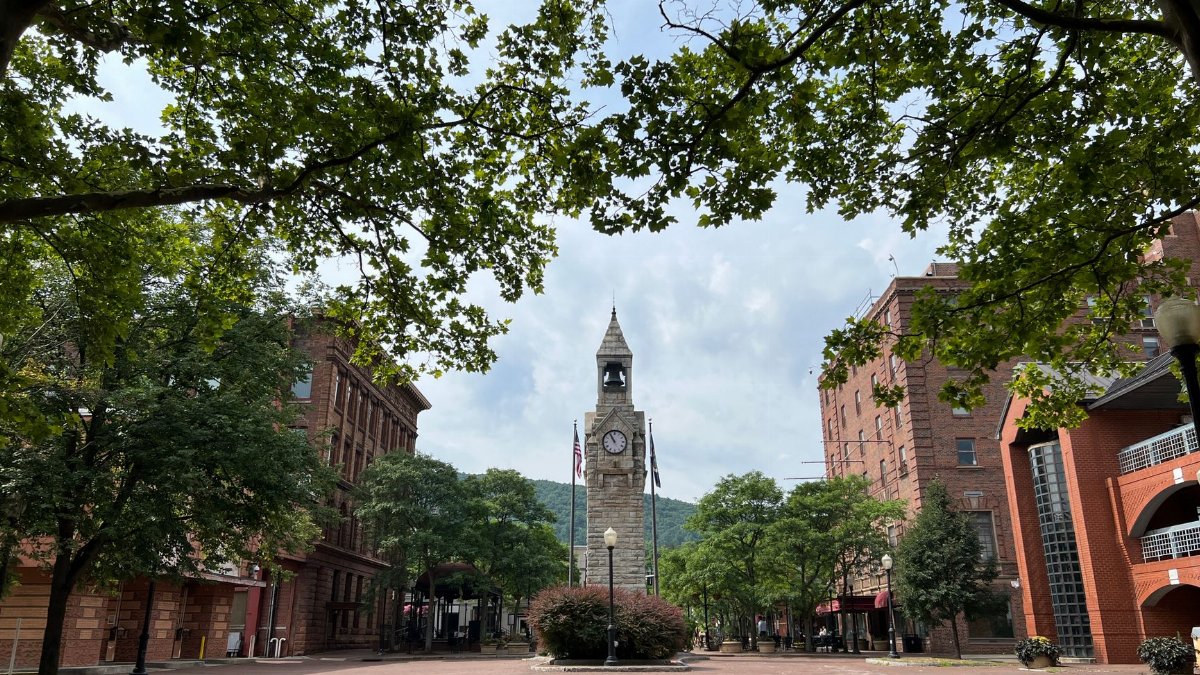 Charming view of historic Wellsboro courthouse square surrounded by lush trees on a summer day.