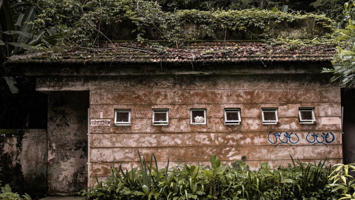 A weathered building overgrown with foliage in Rio de Janeiro's lush forest setting.