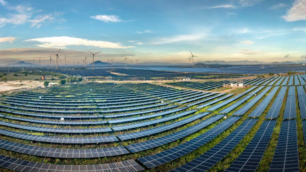 Expansive solar farm with wind turbines in the background under a clear blue sky.