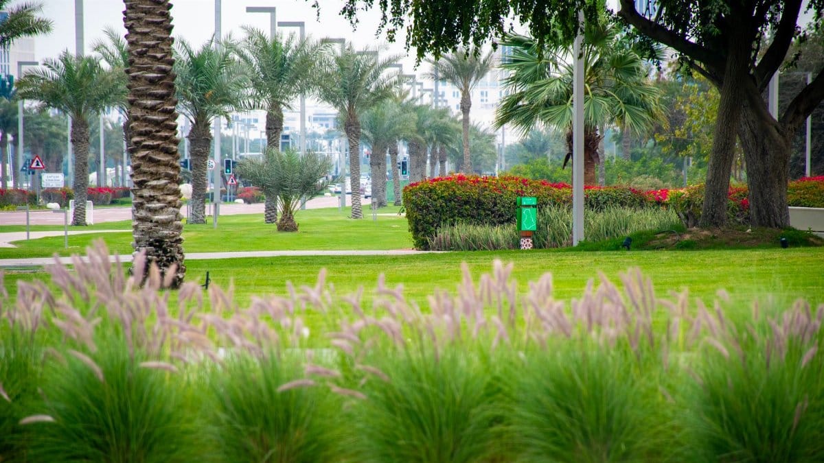 A vibrant green park in Dubai featuring palm trees and manicured lawns during the day.