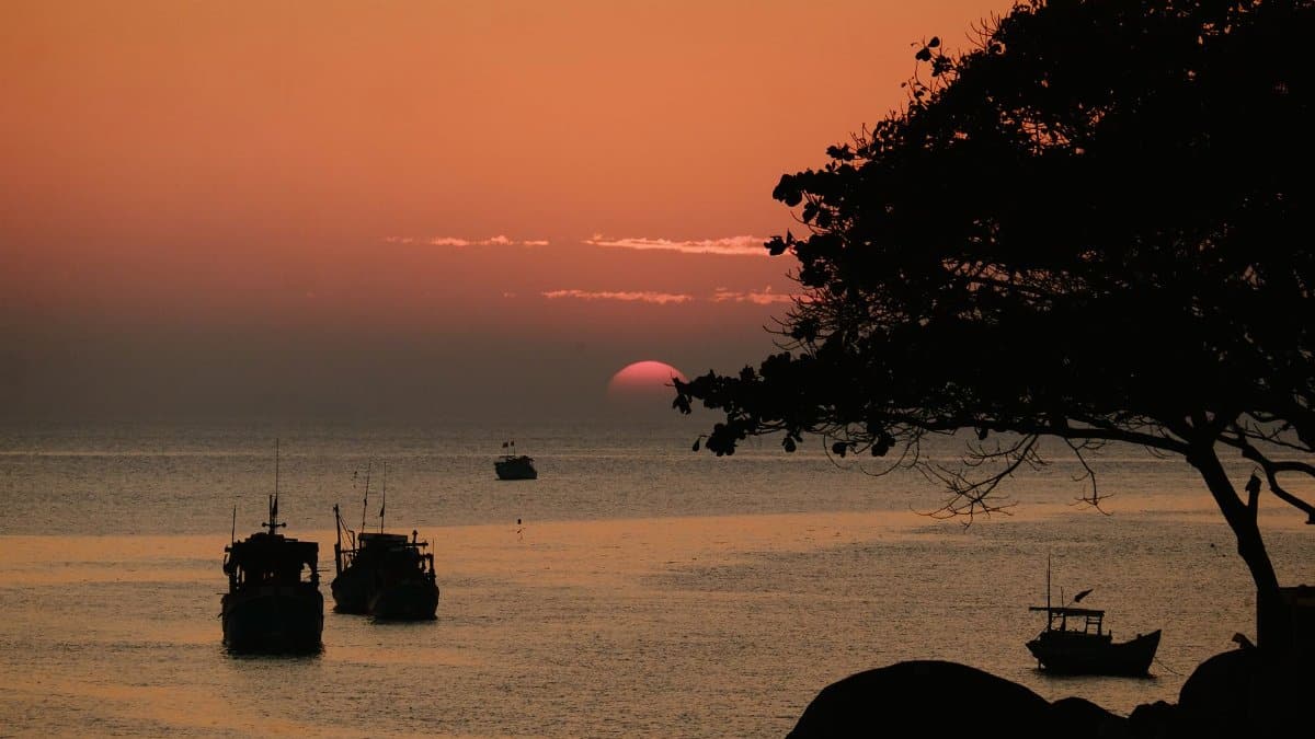 Peaceful sunset scene with silhouetted boats and a tree near the ocean horizon.
