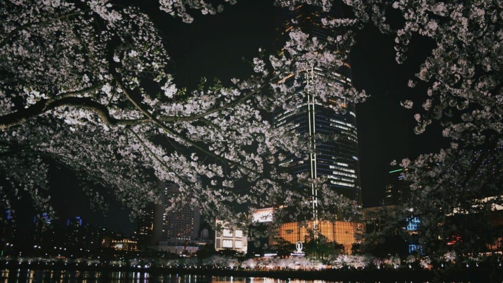 Cherry blossoms frame a modern city skyline at night, creating a captivating urban spring scene.