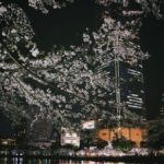 Cherry blossoms frame a modern city skyline at night, creating a captivating urban spring scene.