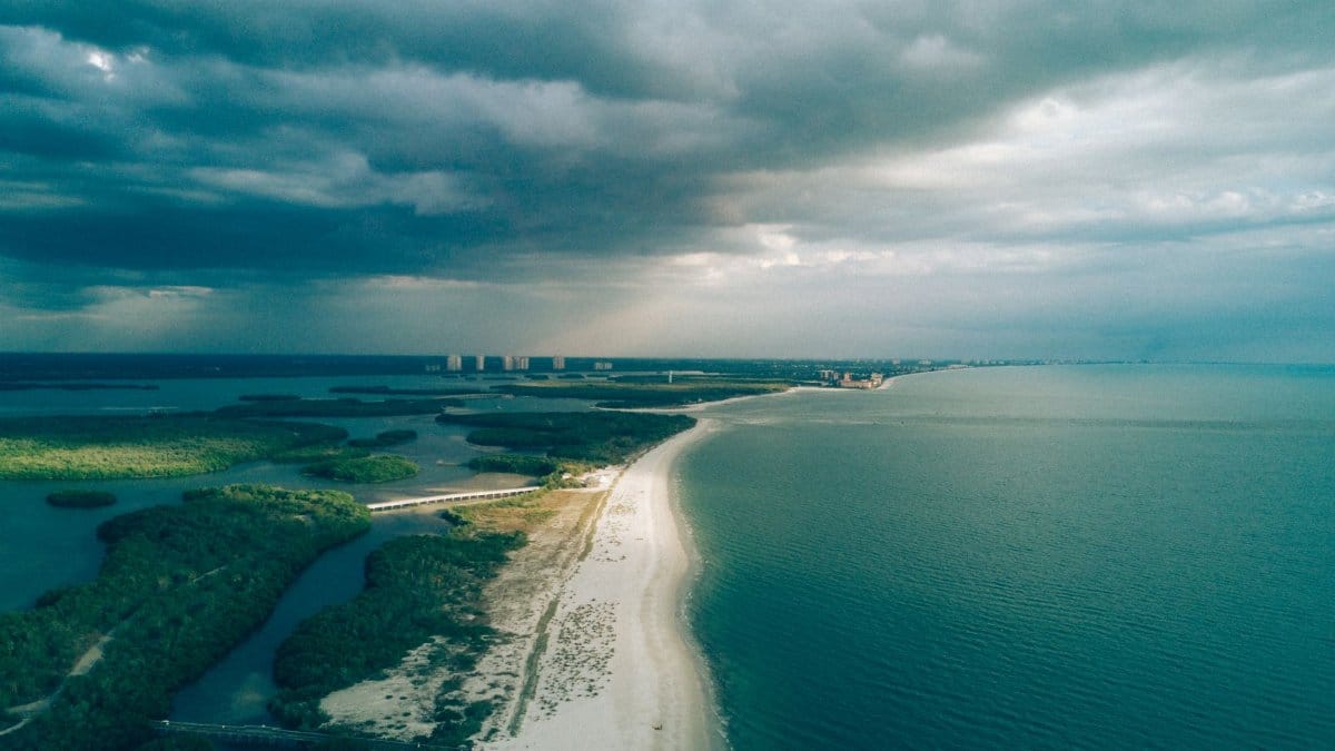 Aerial shot of a serene beach coastline with lush greenery and expansive ocean under dramatic clouds.