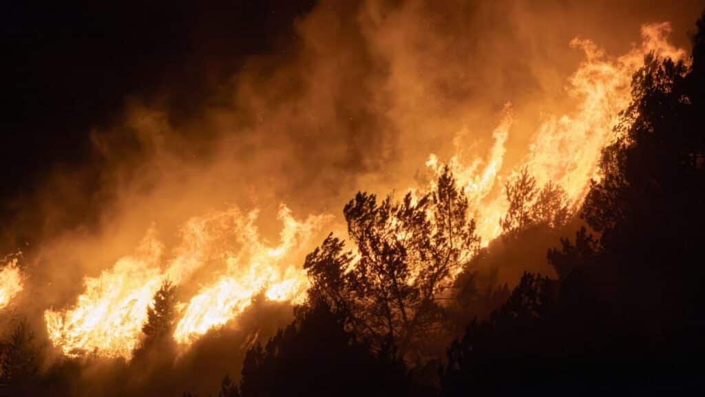 Intense wildfire consuming forest trees at night, creating a dramatic and dangerous scene.
