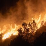 Intense wildfire consuming forest trees at night, creating a dramatic and dangerous scene.