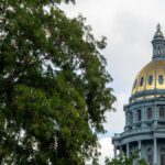 View of Denver's State Capitol with tree and flags in the foreground.