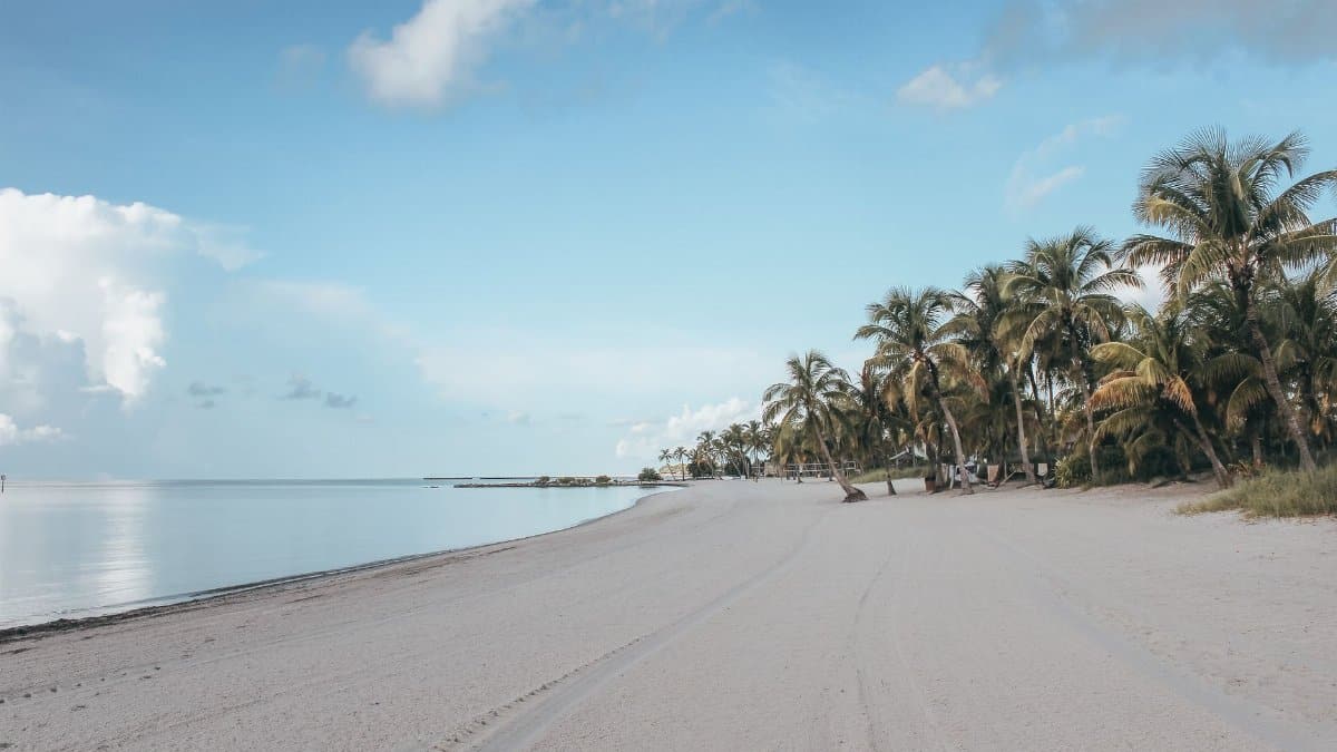 Peaceful white sandy beach with palm trees in Key West under a clear blue sky.