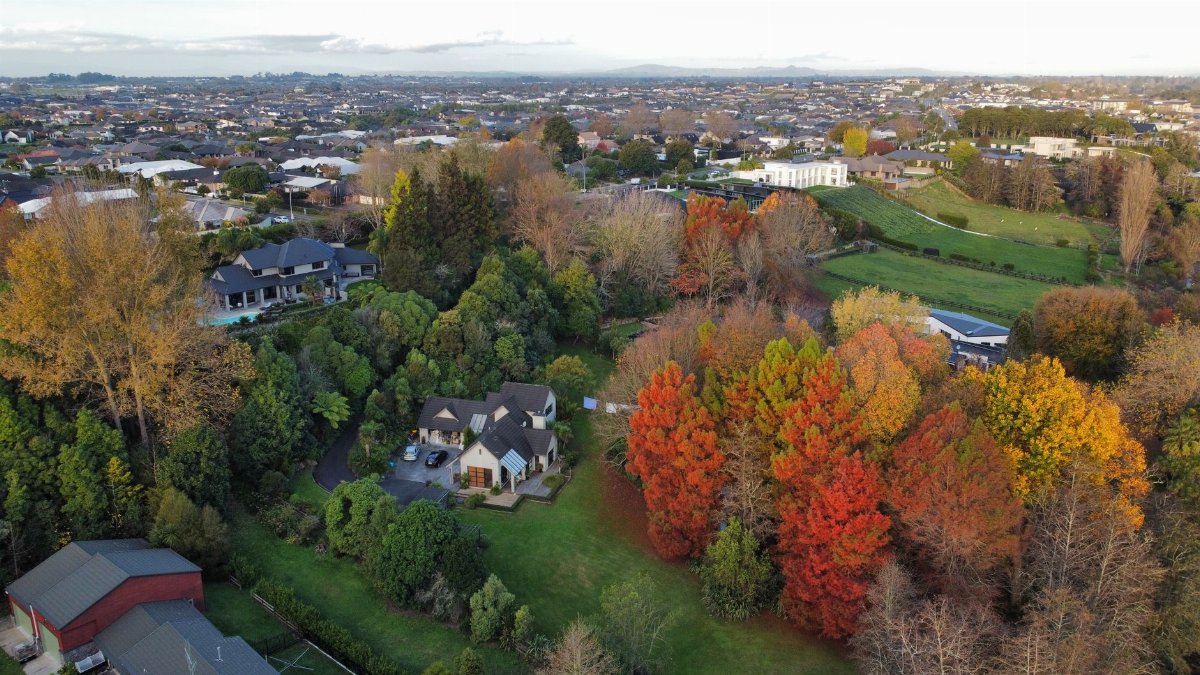 Drone shot capturing a colorful autumn landscape of suburban houses and trees.