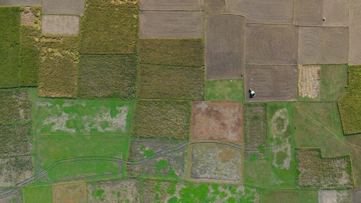 A stunning aerial shot of lush patchwork fields in Bangladesh, showcasing vibrant agricultural landscapes.